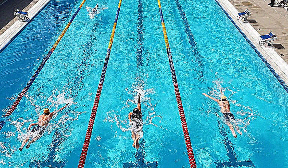 Vietnamese Swimming Lacks an Injury Data System: The Blank Space Behind the Medals Vietnamese Swimming Lacks an Injury Data System: The Blank Space Behind the Medals