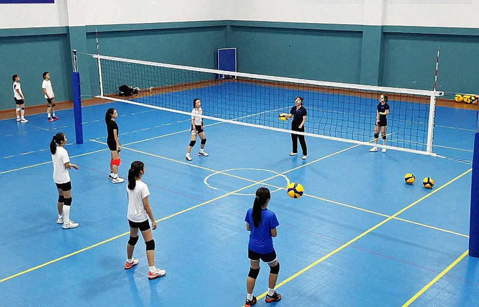 Gabi and Bruno: The Journey Beyond the Comfort Zone and Lessons for Vietnamese Volleyball Gabi and Bruno: The Journey Beyond the Comfort Zone and Lessons for Vietnamese Volleyball