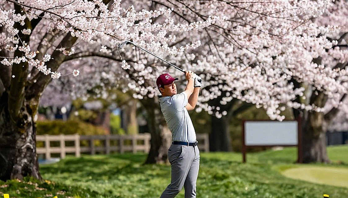 Solheim Cup lần thứ 20: Bảng điểm 4-4 tại Bernardus và khoảng trống dữ liệu không ai đọc