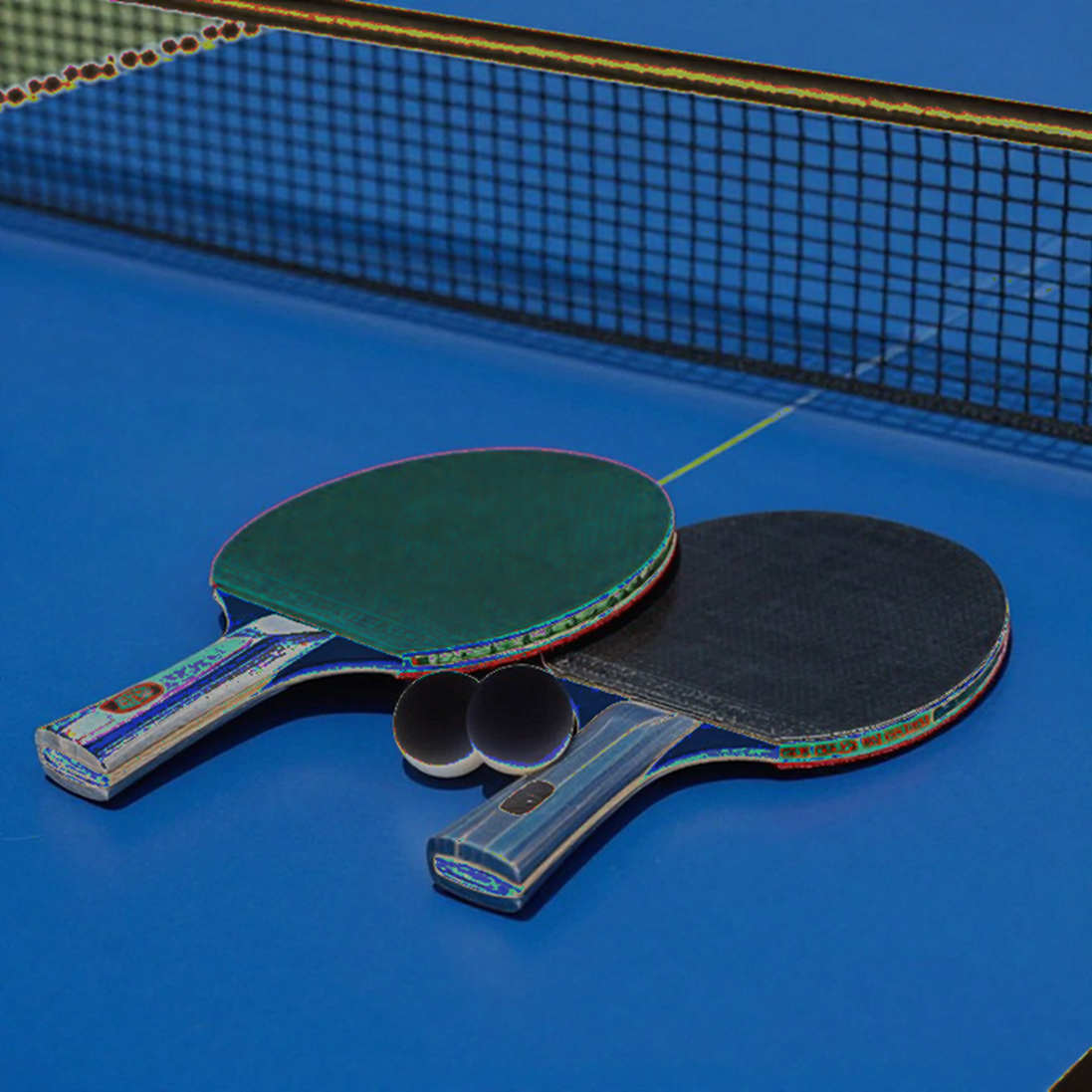 Belgium Open 2026: Portugal's Two U21 Titles and the Gap Between Two Arenas Belgium Open 2026: Portugal's Two U21 Titles and the Gap Between Two Arenas