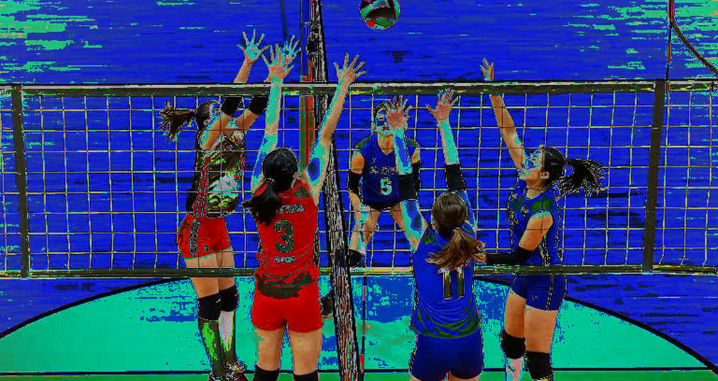 Cameroon Reach the CAVB Final and a 2027 World Championship Berth: A Win Measured by Two Points Cameroon Reach the CAVB Final and a 2027 World Championship Berth: A Win Measured by Two Points