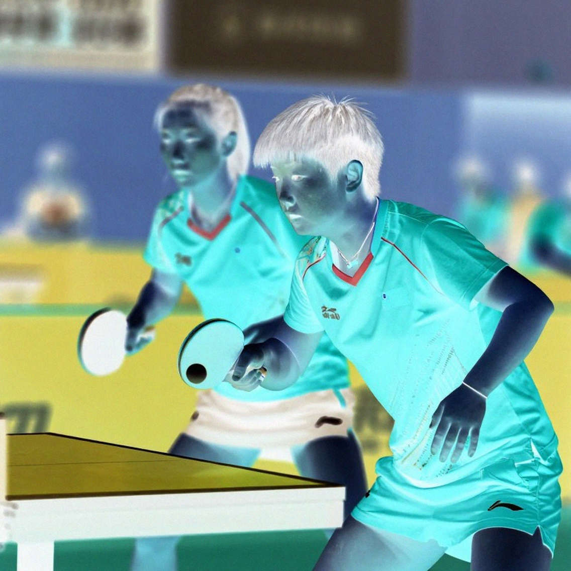 Bóng bàn Đức sau Timo Boll: khoảng trống thế hệ nhìn từ dữ liệu TTBL